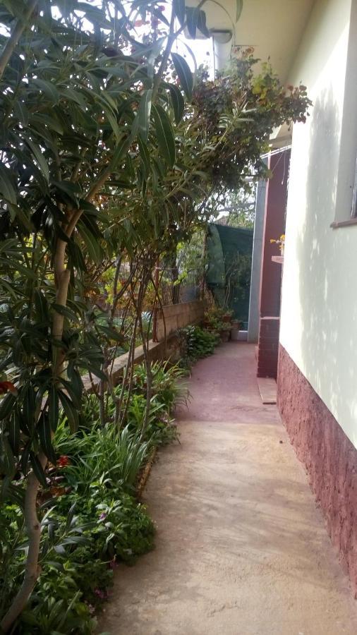 Pero apartman Sukošan Exterior foto